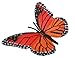 Safari Ltd. Life Cycle of a Monarch Butterfly - Educational Toy Figurines - Miniature Butterfly Lifecycle Collection for Boys, Girls & Kids Age 4+