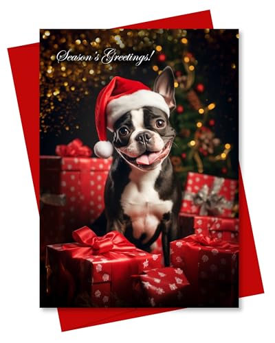 T^Xq̃{XgeA NX}XRNVp̌̃zf[O[eBOJ[h g͋ v~AJ[hXgbN Ԃ ybgɗDAJ̏