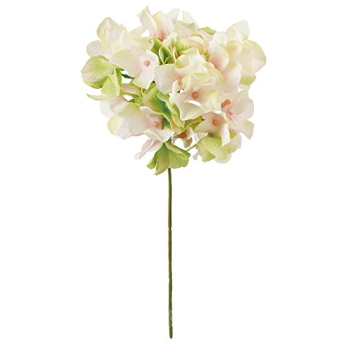 ������ ���� MAGIQ �A���X�n�C�h�����W�A �N���[���s���N�O���[�� �Ԗ[�a12×L23�p FM025048-022