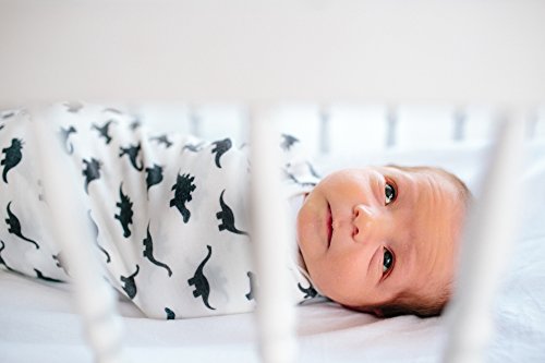 Image of Copper Pearl Swaddle Blankets for Newborns | Soft Stretchy Receiving Blankets for Boys and Girls | Large 46 x 46 Inch Baby Blankets | Lightweight and Breathable Swaddles | Dinos Wild