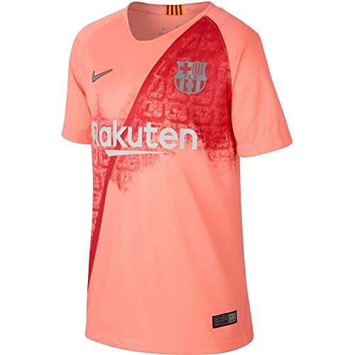 Nike 2018/19 FC Barcelona Stadium Third Big Kids' Soccer...