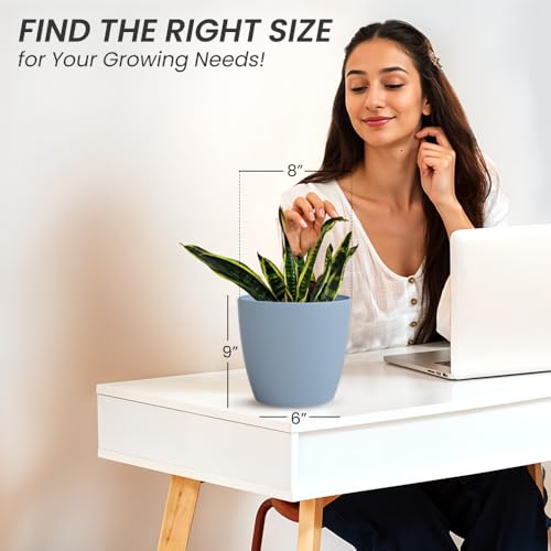 Image of YUCCABE ITALIA SHERA Stella 8 Inch Plastic Plant Pot for Home Decor Indoor Plant Pots for Living Room Plastic Flower Pot for Garden (Cyan, 8 INCH - 6 Pcs)