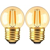 G40 Low Watt Light Bulb Edison LED Bulb Mini Globe Light Bulbs 1W Equivalent to 10Watt Incandescent E26 Screw Base Led Bulbs Ultra Warm White 2200K, Non Dimmable (G40g-2pack)