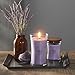 WoodWick Large Hourglass Candle Lavender Spa Scent Premium Soy Blend Crackles as it Burns 21oz Perfect for Gifting