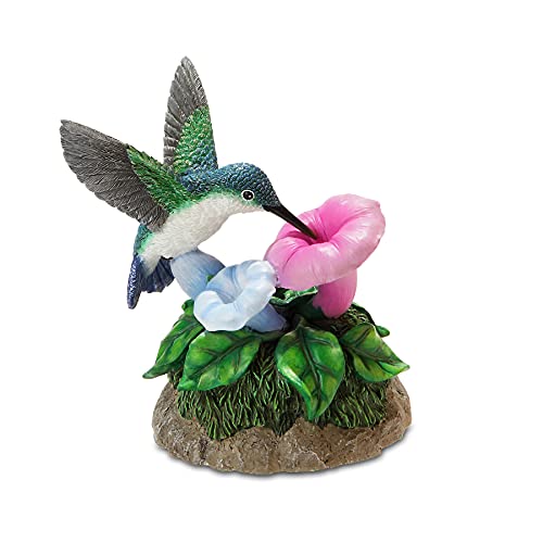 San Francisco Music Box 842970053217 Hummingbird Figurine