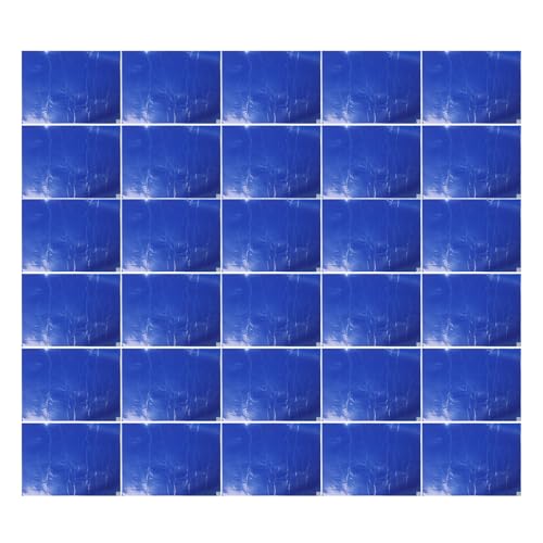 Tapis nettoyant pour semelles de chaussures Anneome bleu avec 60 feuilles anti-poussière