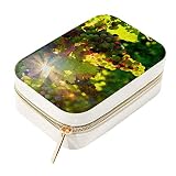 Uva Sole Sunbeam Frutta Viaggio Gioielli Box Piccolo Organizzatore di Immagazzinaggio Titolare Scatole per Donne Ragazze
