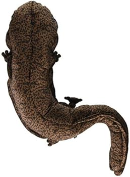 salamander plush toy