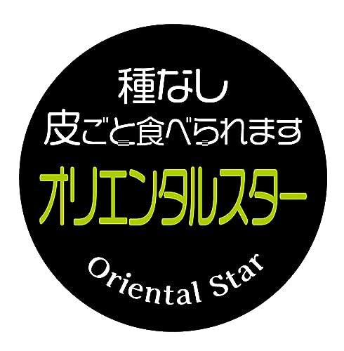 [ChC񂽂] VC}XJbgԂǂ V[ 240 ی`30~ t[c A[g Ɩp ʕx (163_Ȃ炲ƃIG^X^[)