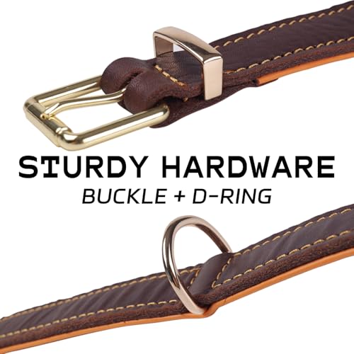 Strapazierfähiges Leder-Hundehalsband, echt gepolstert und handgefertigt für mittelgroße, große und XL-Rassen, Dickes, bequemes Design, Starke weiche Haltbarkeit (Braun,L)