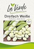 La Verde Dreifach Weiße Bohnensamen