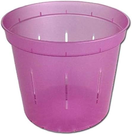 Maceta para orquídea transparente, ranurada, de 6 pulgadas, paquete de 3 unidades., Rose Quartz