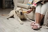 WOW BITES Premium Kaukäse für Hunde – Langer Kauspaß aus natürlicher Milch – Kaukäse Hundeknochen - Mittel Käsestangen – (225 g, 3er Pack, M)