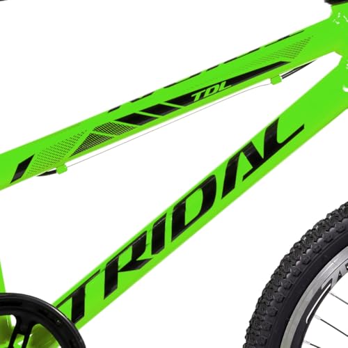 Bicicleta Infantil Aro 20 BMX Cross Tridal com Roda Lateral (Verde)