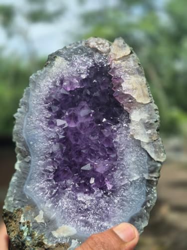 Image of Natural Amethyst Cluster Real Raw Large Geode Healing | Crystal Rock from Uruguay Purple Decor 150-200 gm 1 Piece