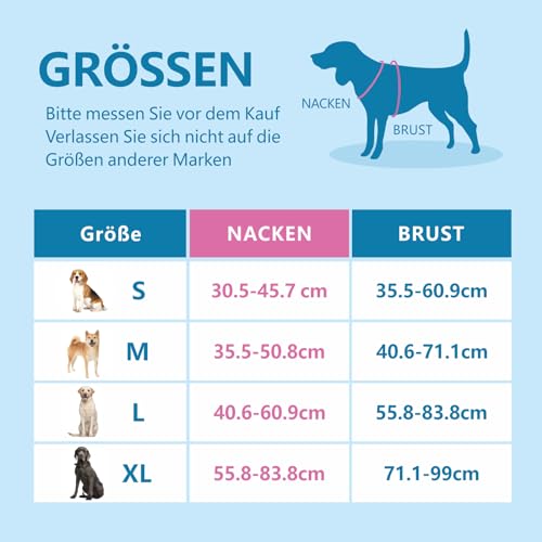 PHOEPET Anti-Zug Hundegeschirr verstellbar mit Reflektoren | Trainingsgriff & Metallclips für alle Hundegrößen(M,Minzgrüne Basis & Pinke Träger)