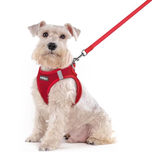Image of rabbitgoo Dog Harness Medium Sized and Leash Set, Step-in Puppy Pet Vest