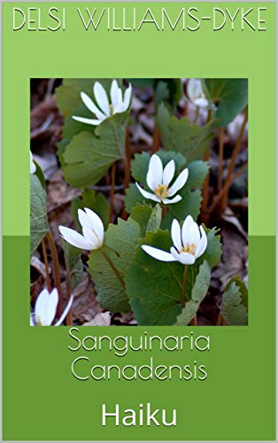 Sanguinaria Canadensis : Haiku (English Edition)