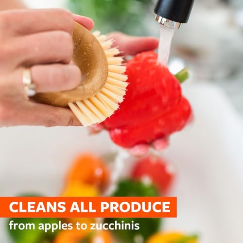 Full Circle The Ring Veggie Brush, marrone