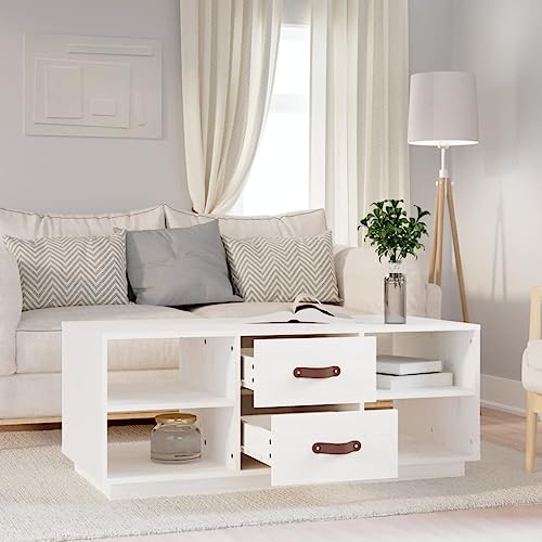 Table basse blanche en bois avec rangements pour optimiser un salon encombré - 4