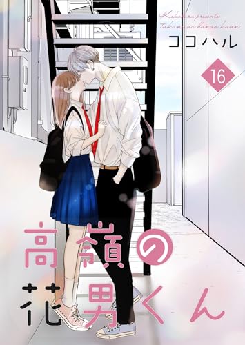 高嶺の花男くん 【合冊版】16 (Colorful!)