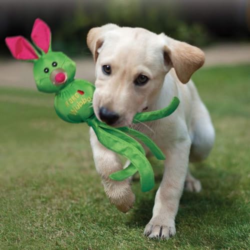 KONG – Wubba Friends Ballistic – Zerrspielzeug aus Nylon (Verschiedene Figuren) – Für Große Hunde