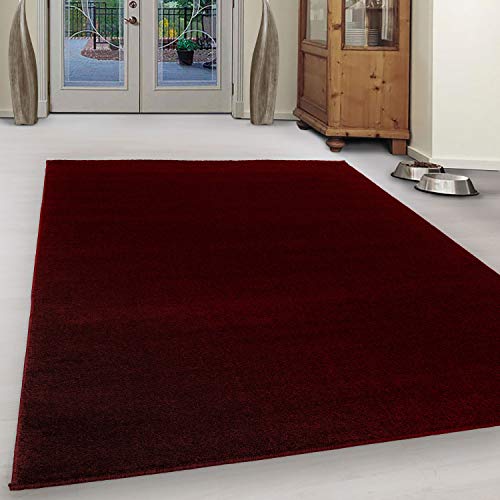 Ayyildiz Teppich-Teppich Modern Designer einfarbig kurzflor, Polypropylen, Rot, 160 X 230 ATA1602307000RED