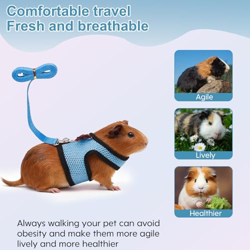 Image of Guinea Pig Harness and Leash,2packs Guinea Pig Clothes Baby Ferret Rats Hamster Soft Mesh Harness Leash for Decoration,Hamster Harness can be Adjusted to Any Size. (Blue + Orange)