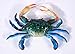Handpainted Blue Crab Magnet