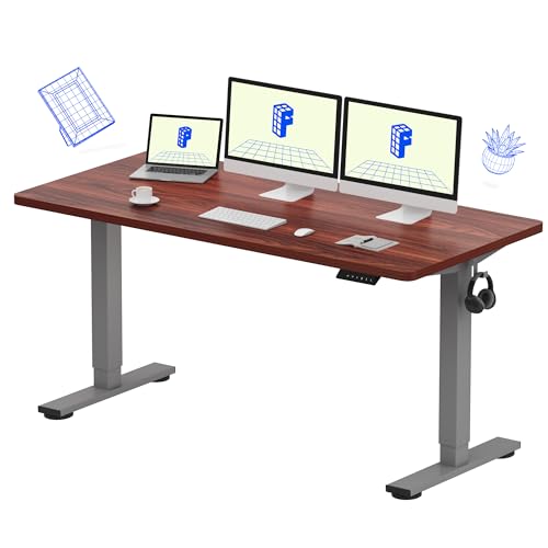 FLEXISPOT EN1 60"x24" Standing Desk