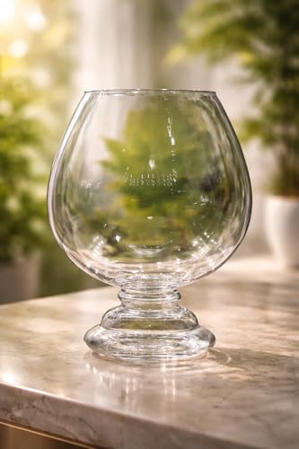Image of Glass Fish Bowl /Terrarium Wine Cup Shape Clear Glass Aquarium for Fish, Plants & Pebbles, Decorative Centerpiece for Home, Living Room, Office & Balcony (8 Inch)