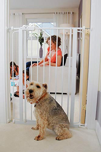 pressure fit dog gate