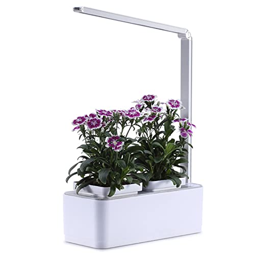 Potager hydroponique 2 en 1 et kit de jardin d'herbes aromatiques