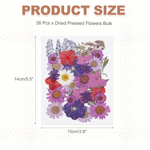 Hojas de flores secas prensadas PATIKIL 38 piezas miniatura 2
