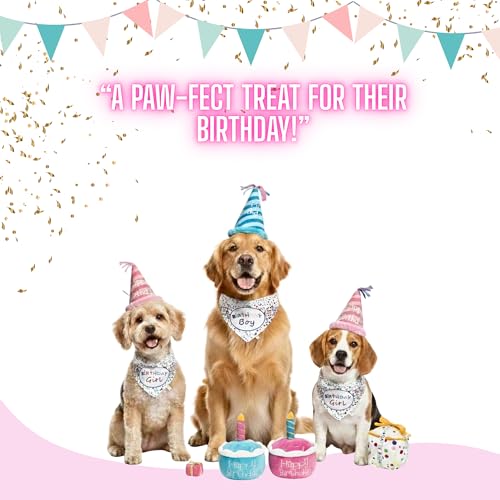 Birthday Girl Dog Gift Bundle – Juguetes para Perro miniatura 5