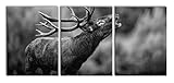 Pixxprint Röhrender Hirsch mit mächtigem Geweih, Monochrome, XXL Leinwandbild in Übergröße 180x80m Gesamtmaß 3 teilig/Wandbild/Kunstdruck