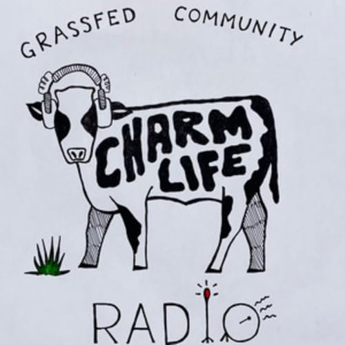 Page de couverture de Charm Life