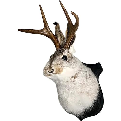 HSOSK Jackalope Mount, Jackalope Taxidermy, Deer Head Wall Mount, Resin Deer Head Animal Wall Art, for Home Wall Decoration