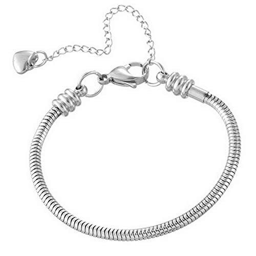 Tgls Women Girls Moments Slider Charms Bracelet 6 Inches Stainless Steel Snake Chain Bracelets Compatible With Pandora Charms #TOP14