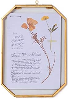 NCYP Small Hanging Brass Glass Photo Frame, 10.2x15.3cm Octagon Frame for Pressed Dried Flowers Leaves, Double Glass Floating Frame Herbarium, Modern Handmade Wall Decor, Glass Frame Only