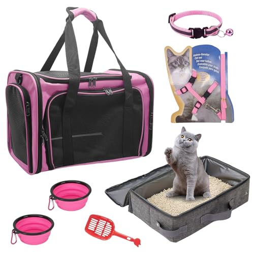 Find The Best Cat Harness For Traveling Reviews & Comparison Katynel