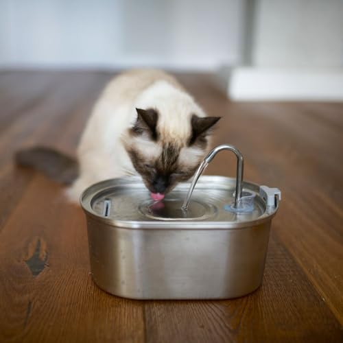 『Pourquoi votre chat ne boit pas assez et comment l'aider à s'hydrater』のカバーアート