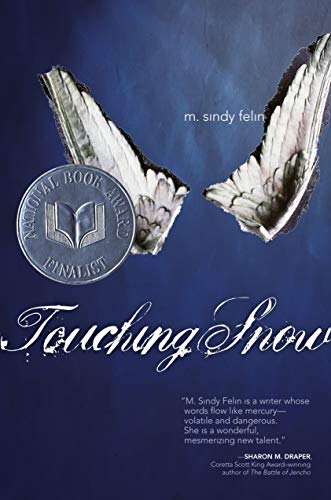 Touching Snow view 2