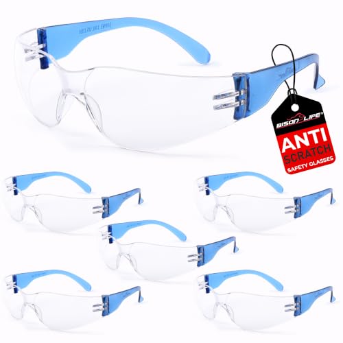 Image of BISON LIFE Clear /Blue Safety Glasses for Men & Women, ANSI Z87.1, 6 Pack