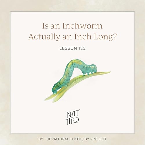 Is an Inchworm Actually an Inch Long? Lesson 123