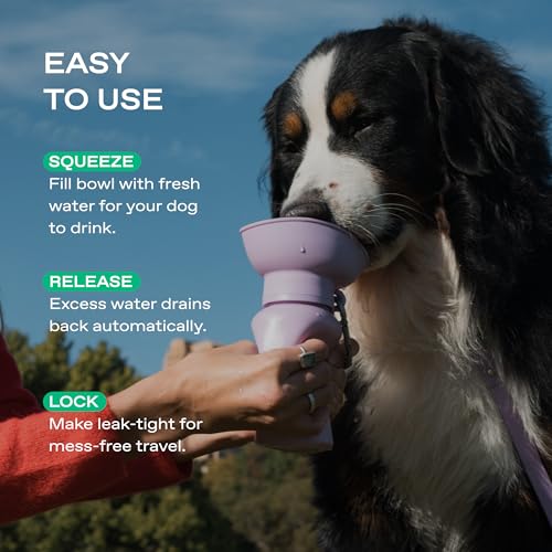 Image of Springland 20oz Portable Dog Water Bottle with Collapsible Bowl, Lilac