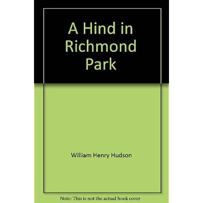 A Hind in Richmond Park