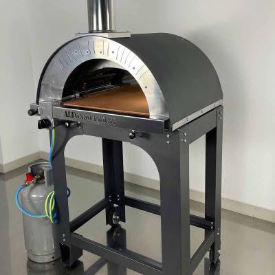 Forno pizza ibrido a gas e legna - 2 pizze - con carrello da esterno, uso tradizionale a legna o con bruciatore a gas - pietra refrattaria, 500 gradi, Made in Italy (con bruciare e valvola GPL)