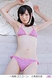 一角娘-ユニコーン-　小鳥遊花音 (ひばりこれくしょん)