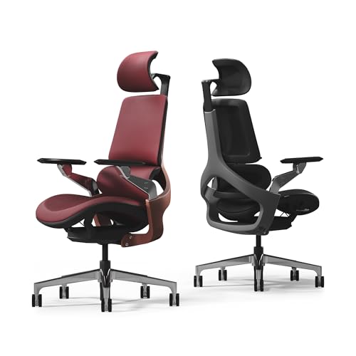 TOMU Ergonomic Executive Office Chair, Genuine Leather High Back Design